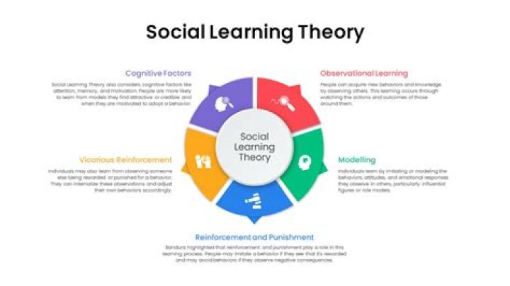 What is the social learning theory in psychology