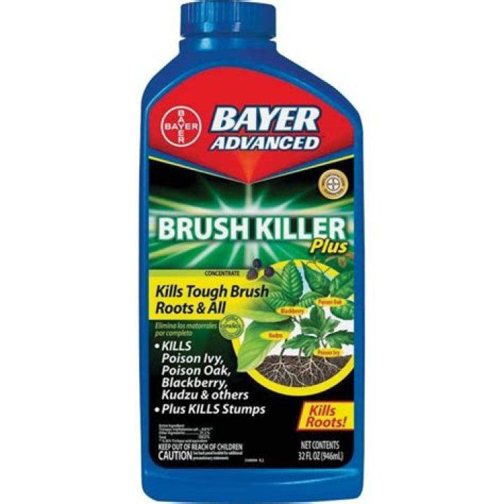 What is the strongest brush killer