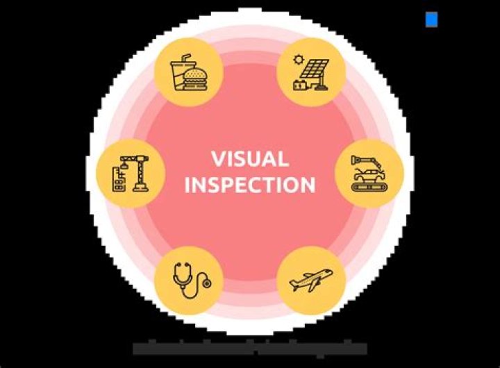 What is the term for visual inspection of a cavity of the body using a special scope and optical system