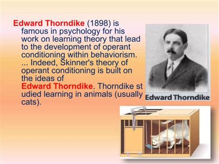 What is the theory of Thorndike