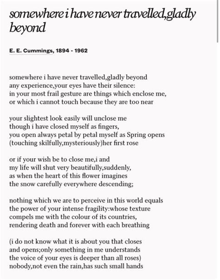 What is the tone of the poem somewhere I have never Travelled