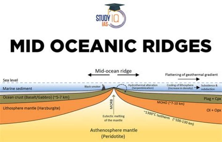 What is the typical rate of spreading at a mid ocean ridge