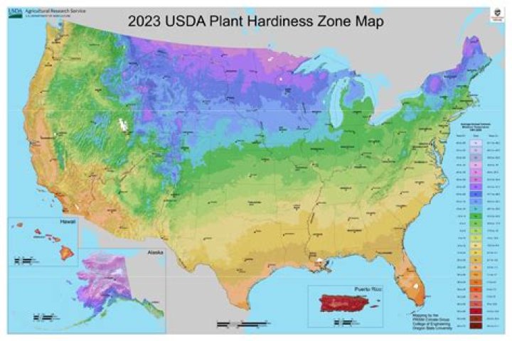 What is the USDA zone hardiness map