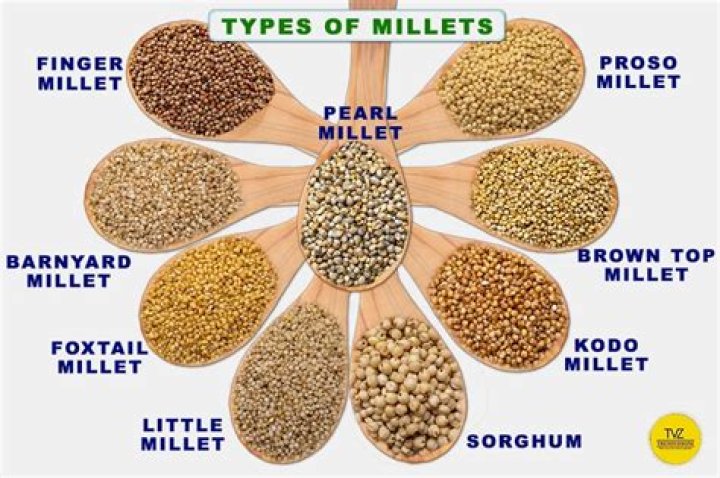 What is white millet? | ContextResponse.com
