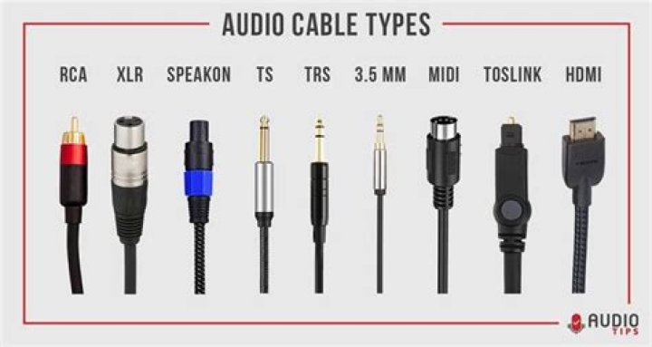 What kind of cord do you need to plug your phone into your TV?