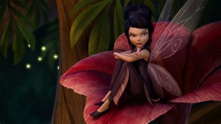 What kind of fairy is Vidia?