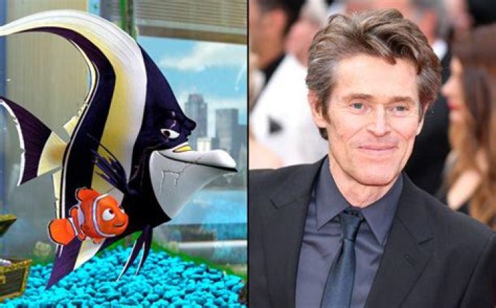 What kind of fish was Gill in Finding Nemo?
