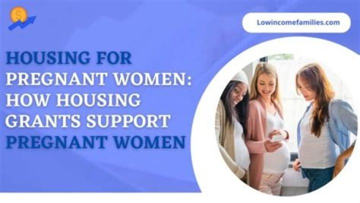 What kind of government assistance can I get while pregnant