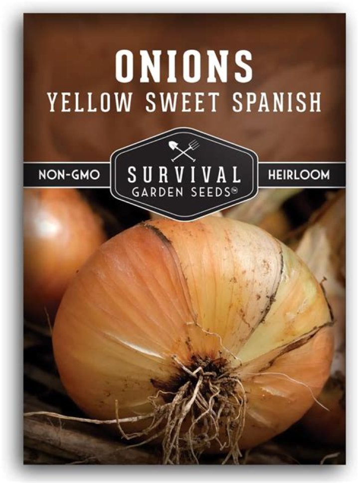 What kind of onion is a Spanish onion