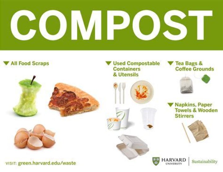What kind of paper can I put in my compost