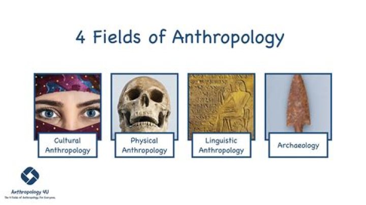 What kind of societies do anthropologists study