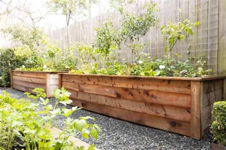 What kind of wood should I use for a pergola?