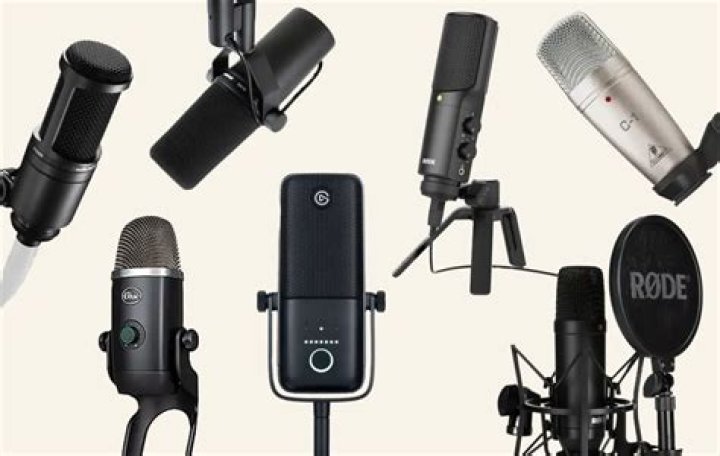 What microphones do professional singers use?