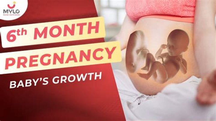 What month will it be in 6 months?