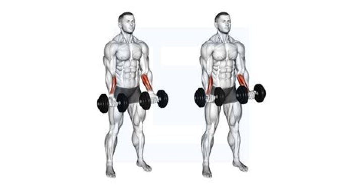 What muscles do wrist curls work?