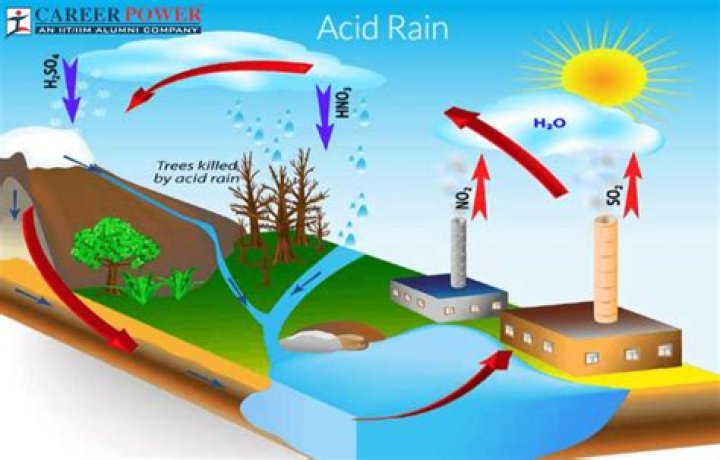 What organisms are being affected by acid rain