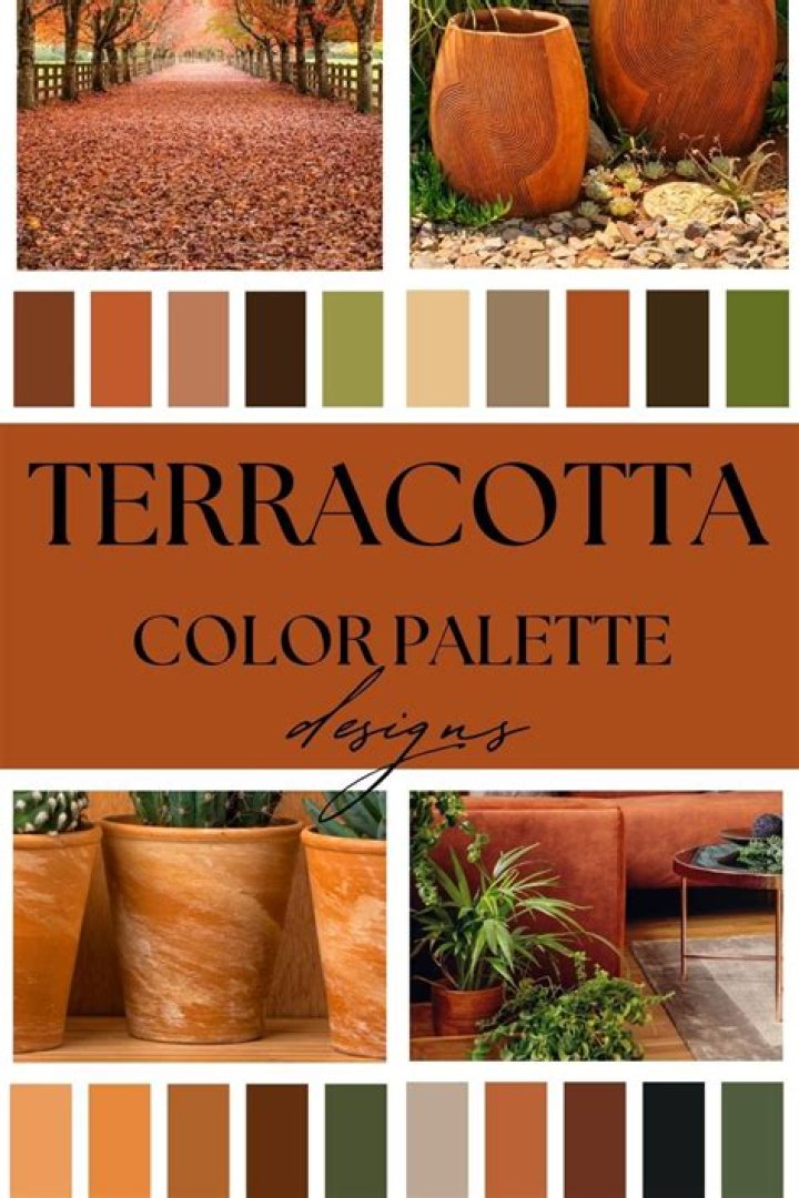 What paint color goes with terracotta tile