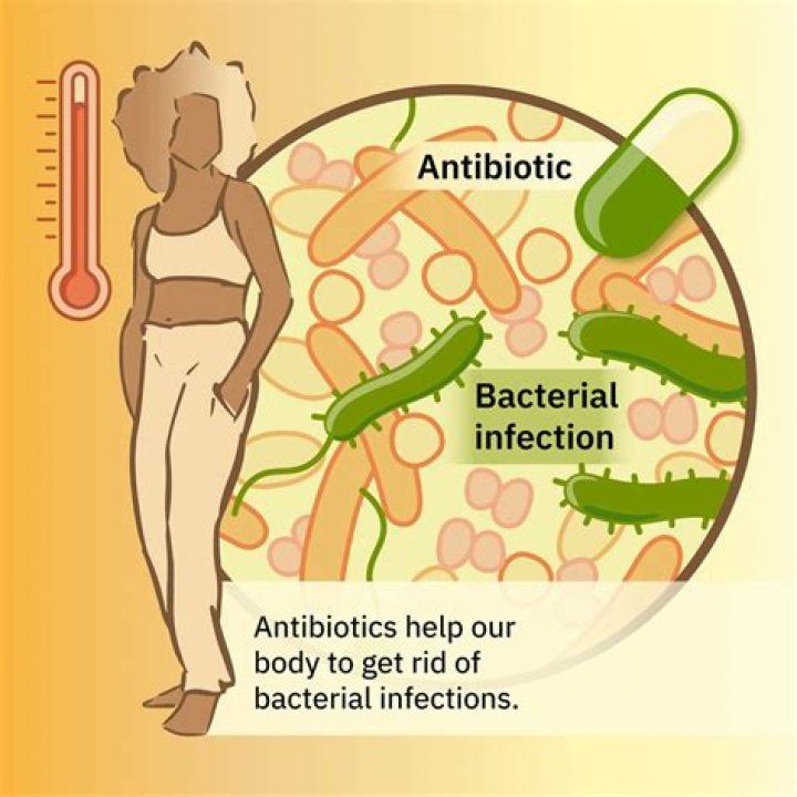 What pathogens can antibiotics treat?