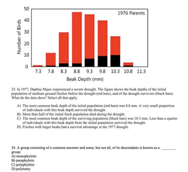 What percentage of the medium ground finches died due to the drought