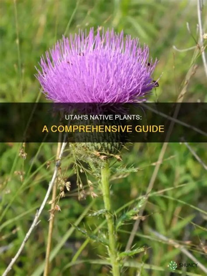 What plants are native to Utah