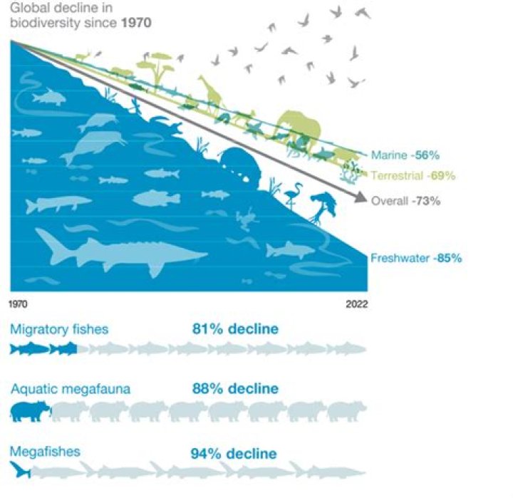 What problems does a declining population cause?