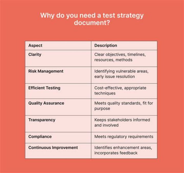 What should a test strategy document contain?