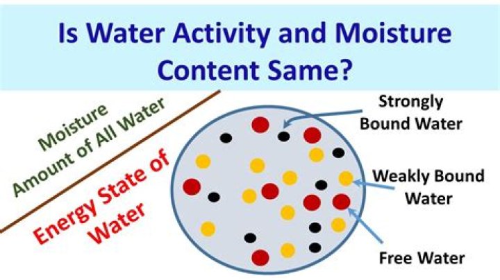 What should the moisture content of a wall be