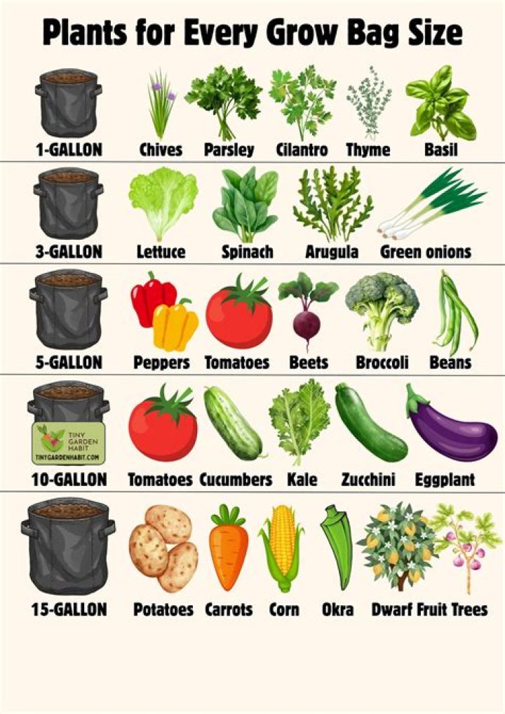 What size grow bag for carrots