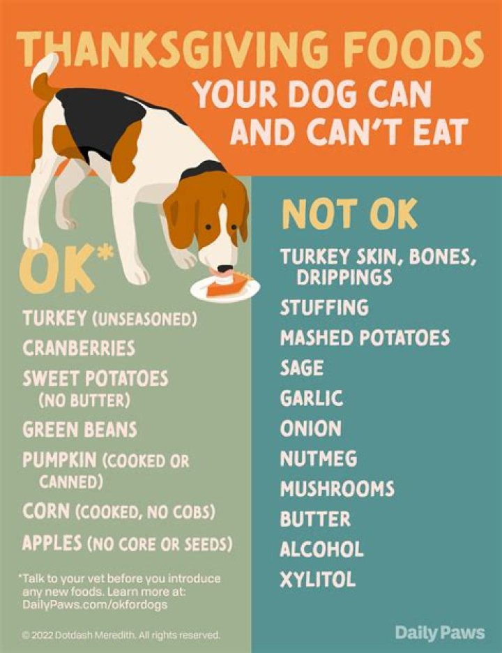 What Thanksgiving foods can dogs eat