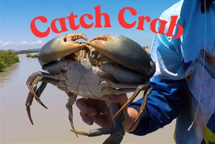 What time is best to catch crabs