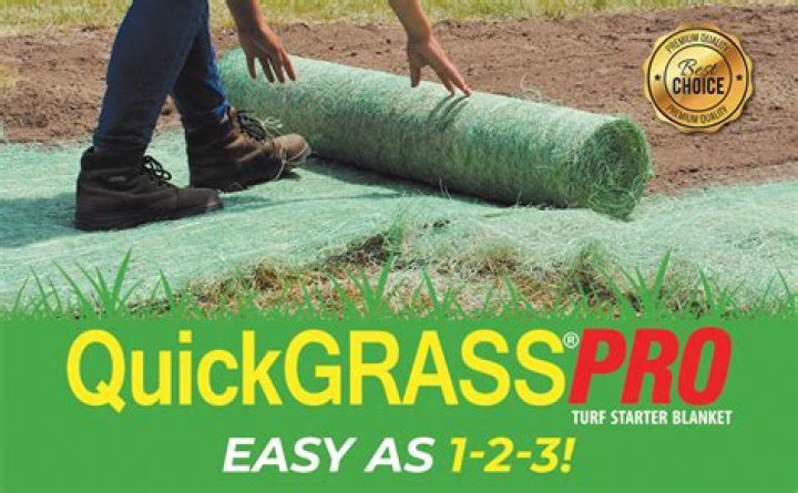 What to put on grass to stop it from growing