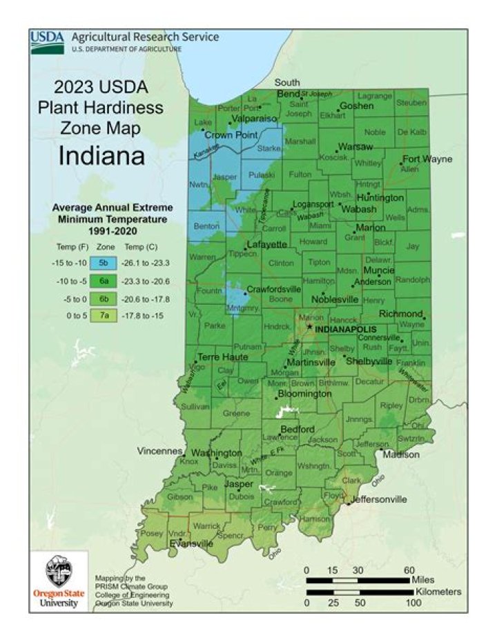 What Tree Zone is Indiana
