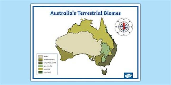 What type of biome is South Africa