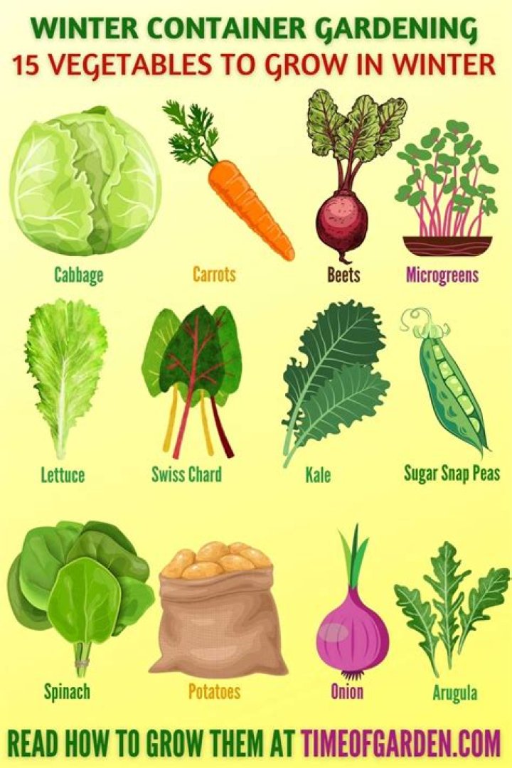 What vegetables can you grow in fall and winter