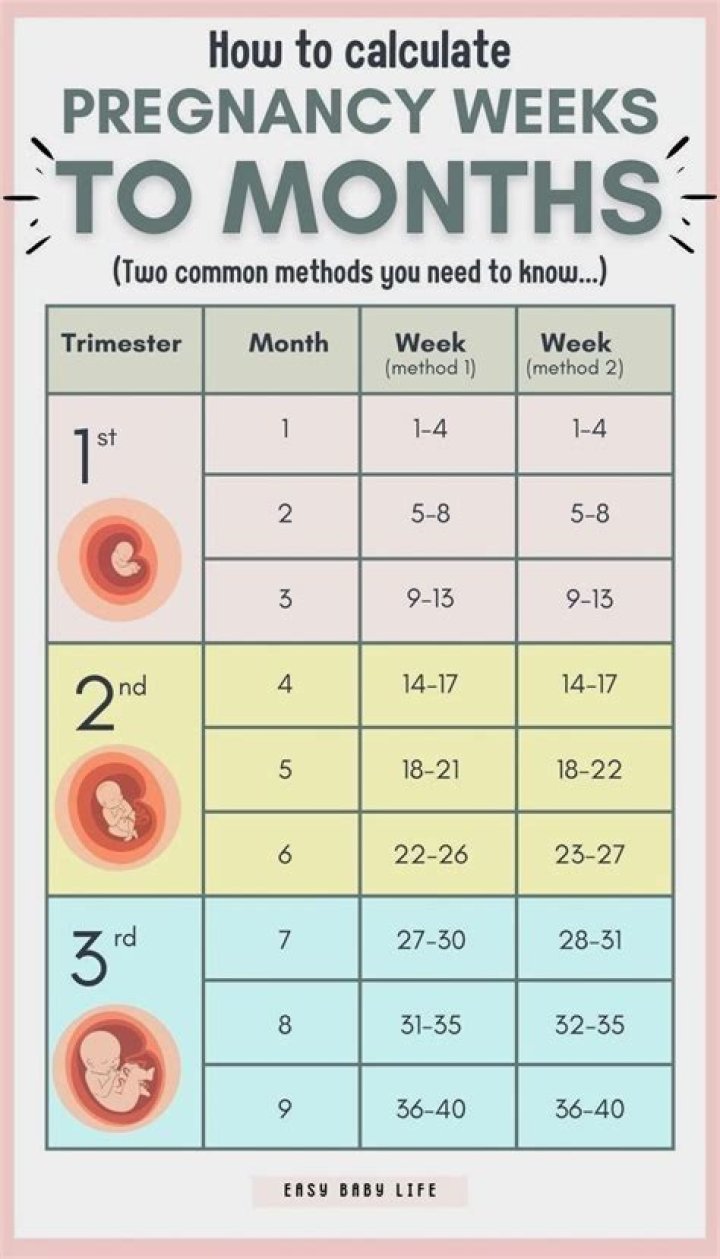 What week is the third month of pregnancy