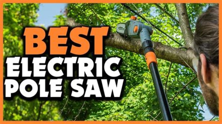 Whats the longest electric pole saw