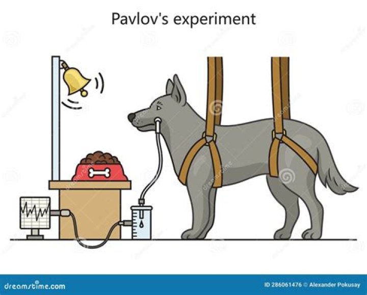 When did Pavlov Do the Dog experiment