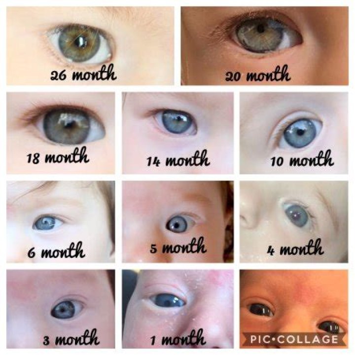 When did your baby's eyes turn brown?