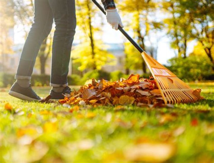When should I start raking leaves?