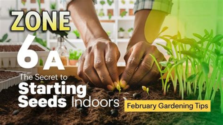 When should I start seeds in zone 6a