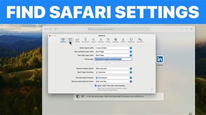 Where are Safari extensions stored?