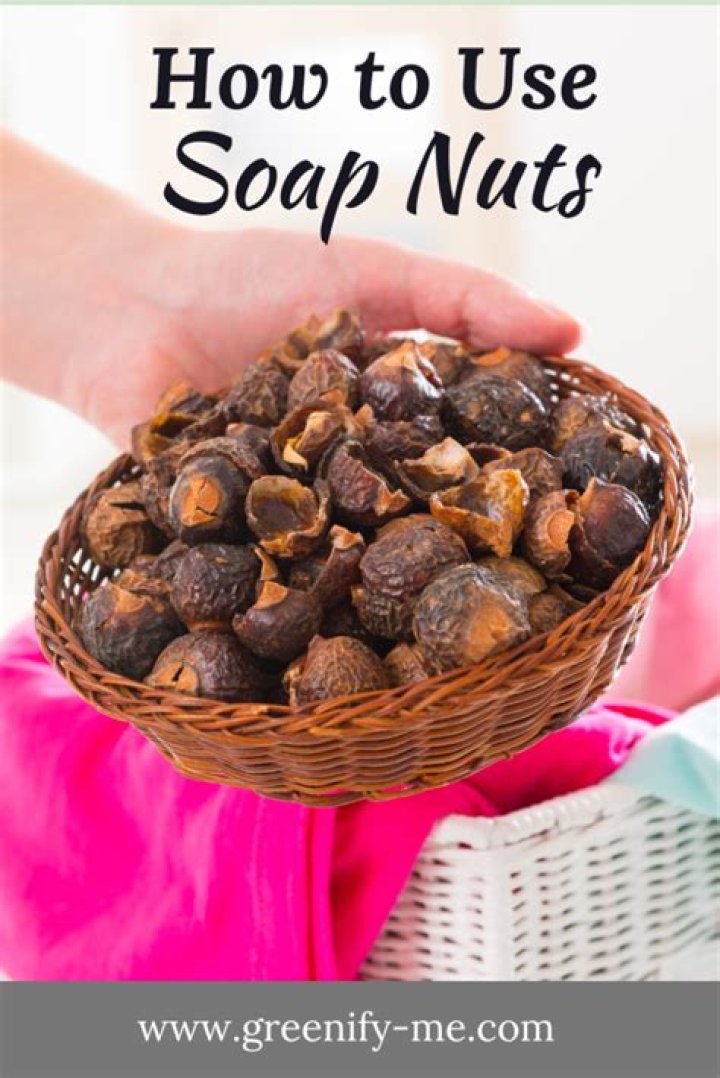 Where are soap nuts grown?