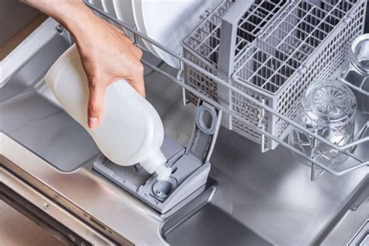 Where do you put the detergent in a Maytag dishwasher?
