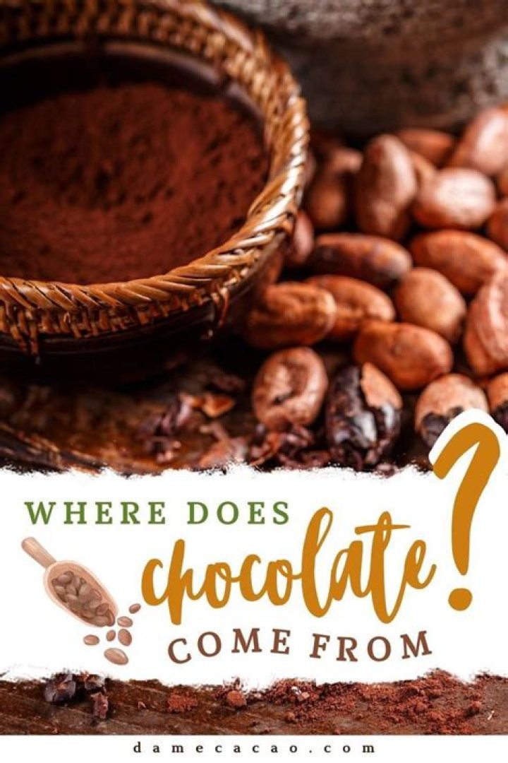 Where does chocolate come from Africa