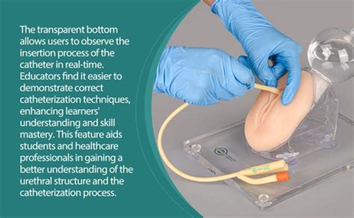 Where does the word catheter come from?