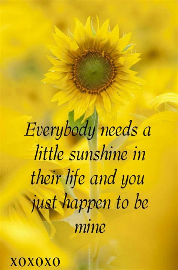 Where is my sunshine quotes?