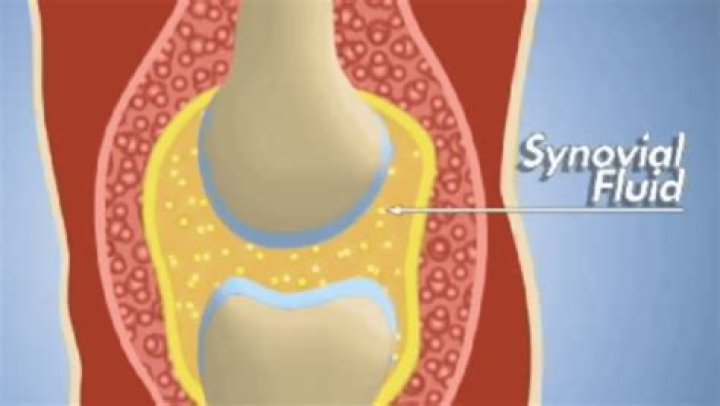 Where synovial fluid is found