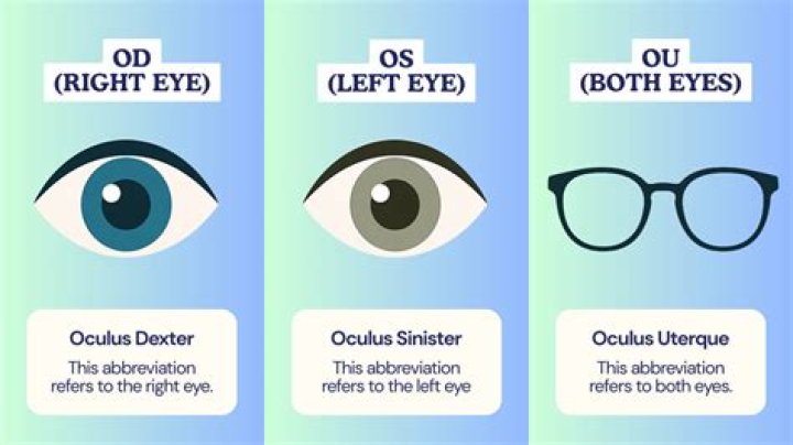 Which abbreviation means left ear