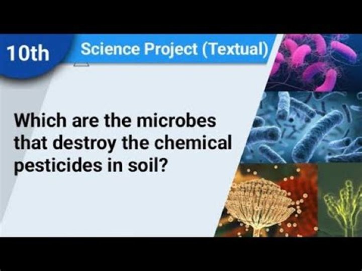 Which are the microbes