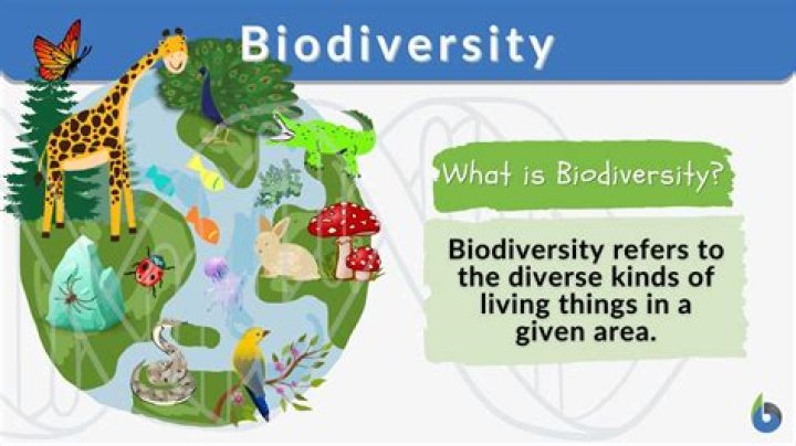 Which community has the greatest biodiversity